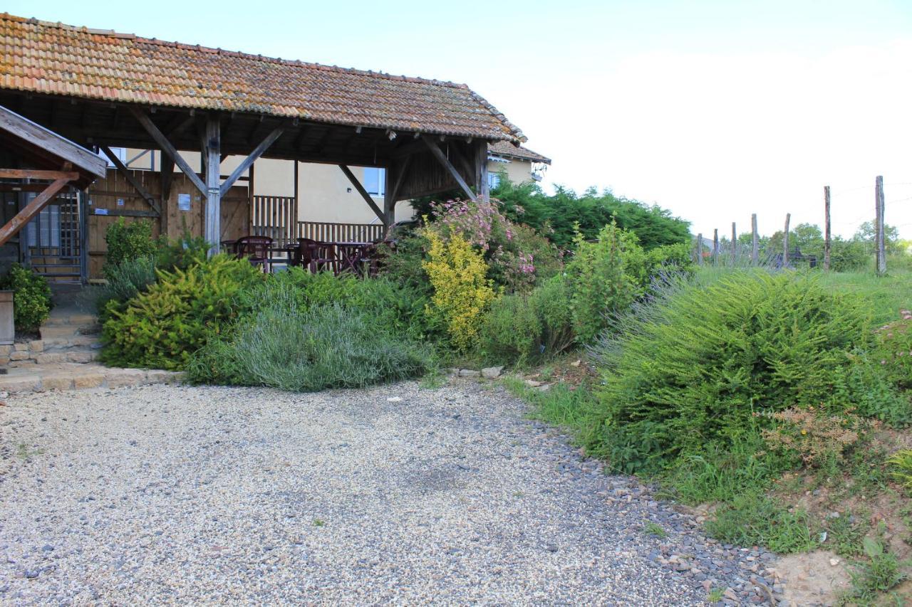 Le Moulin Traffay Guest House Saint-Didier-sur-Chalaronne Екстериор снимка