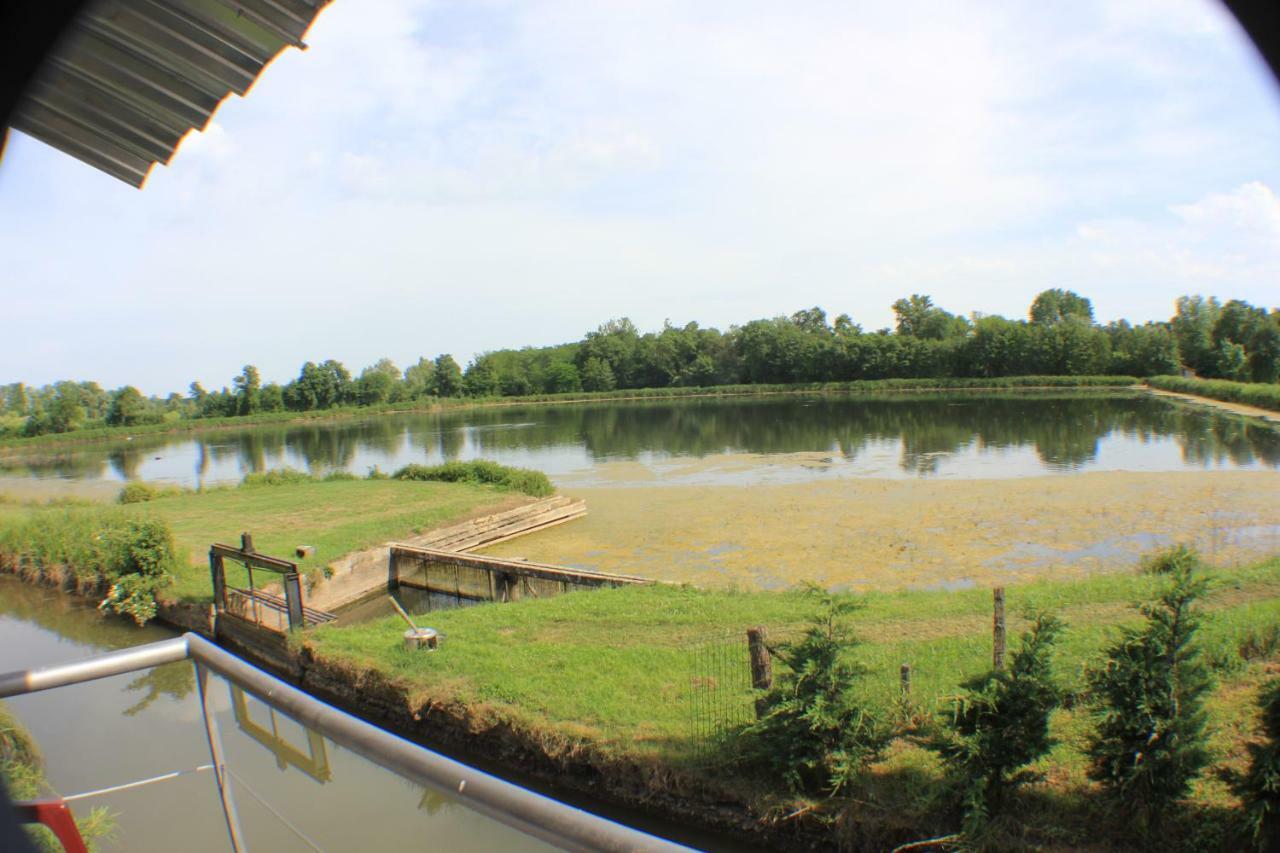 Le Moulin Traffay Guest House Saint-Didier-sur-Chalaronne Екстериор снимка